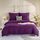 Amolavet Winter Bettwäsche Lila 200x200 3teilig Set aus Gebürstetem Mikrofaser Winterbettwäsche 200x200 Mit Reissverschluss für Doppelbett Bettbezug 200x200cm + 2 Kissenbezüg 80x80cm, Größe: 200x200+2x80x80 cm, Farbe: Lila