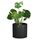 Fox&Fern Übertopf XL - Blumentopf Gross inkl. Wasserabfluss - Blumentopf hoch 34cm - Übertöpfe für Zimmerpflanzen - 38cm Durchmesser - Pflanzentöpfe gross - Plant Pot - schwarz, Größe: 15 Inch, Farbe: Mattschwarz