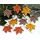 9er Set Anhänger Blatt Ahorn Herbst Deko Holz Herbstanhänger Holzanhänger Dekoanhänger Herbstblätter (Blätter), Farbe: Blätter