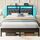 Seventable Bett 140x200 mit LED, Ladestation (2 USB-Anschlüsse & 1 Typ-C-Anschluss), Metallbett mit Gepolstertem Kopfteil & Stauraum, Doppelbett für Schlafzimmer, Größe: 140 x 200 cm, Farbe: Grau