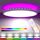 zemty LED Deckenleuchte Dimmbar 30CM, 24W 3200LM RGB Deckenlampe Farbwechsel, 3000K-6500K Badezimmer Lampe IP54 Wasserfest, Flach Badlampe Decke für Bad Kinderzimmer Schlafzimmer Wohnzimmer, Größe: 30CM 1 Stück, Farbe: Weiß-rgb Hintergrundbeleuchtung
