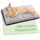 Knupis Selbstheizende Decke für Katzen Grau 60x45cm – Weich & kuschelige Katzendecke – Waschbarer Bezug – Mit Rutschfester Unterseite – Heizdecke für Katzen – Wärmekissen Katze – Grau, Größe: L 60 x B 45 x H 3 cm, Farbe: Grau