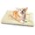 Baodan Hundebett Mittelgrosse Kleine Hunde, Hundekissen Waschbar für kleine mittelgrosse Hunde, Dog Bed - 75x50 cm Superweich Katzenbett mit Rutschfester Unterseite - Beige, Größe: L 75 x B 50 x H 5 cm, Farbe: Beige