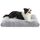 Feandrea Hundebett, Hundekissen, Flauschige Hundematte, Langer Plüsch, 105 x 68 cm, weiche Polsterung, waschbar, multifunktional, Ombré-Grau PGW206GA01, Größe: L 105 x B 68 x H 10 cm, Farbe: Ombré-Grau