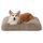 BEDSURE Flauschiges Hundebett mittelgrosse Hunde - 74x53x8 cm Hundebett waschbar, rutschfeste Unterseite,Kamel, Größe: L 74 x B 53 x H 8 cm, Farbe: Kamel