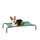 Amazon Basics Kühlendes erhöhtes Hund Haustierbett, Grün, Grösse M, L 110 x B 65 x H 19 cm, Stil: Erhöhtes Bett, Größe: M, Farbe: Grün