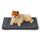 BEDSURE waschbar Hundematte Kleine Hunde - 58x43 cm Katzenbett Grosse Katzen mit hochdichter Schaumstofffüllung, Sherpa-Plüsch Hundekissen waschbar für Hunde und Katzen, dunkelgrau, Größe: 58 x 43 cm, Farbe: Dunkelgrau