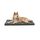 lionto Hundematte orthopädisch mit Memory-Schaumstoff, gelenkschonendes Hundekissen aus pflegeleichtem Lederimitat, 118x80 cm, Gesteppte Liegematte mit abnehmbaren Bezug und Anti-Rutsch-Belag, grau, Größe: L 118 x B 80 x H 6 cm, Farbe: Grau