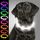 Joytale Leuchthalsband Hund USB Aufladbar Hundehalsband Leuchtend für Grosse Mittel Kleine Hunde und Welpe, Led Halsband mit 3 Modi für Sicherheit, Weiss, Größe: 70 cm (1er Pack), Farbe: Weiß