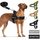Eyein Hundegeschirr mit Leine für grosse mittelgrosse Hunde, Weich gepolsterter Brustgeschirr mit 2 Leinenclips, Reflektierend & Leichtgewicht Anti Zug Geschirr für Spaziergänge Training, Schwarz, L, Größe: S, Farbe: Rosa