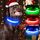 Visinite Leuchtendes LED-Hundehalsband - Wiederaufladbar, Wasserdicht, Reflektierend, Vollständig Verstellbar, Blinkend für Mittelgrosse und Grosse Hunde, Größe: M, Farbe: Blau
