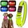 YFbrite Leuchtendes Hundehalsband, wiederaufladbares LED-Hundehalsbands, blinkendes verstellbares reflektierendes Hundehalsbands, Sicherheit leuchtet bei Nacht (Grün, L), Größe: L, Farbe: Grün