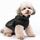 PcEoTllar Wasserdichter Hundemantel für kleine Hunde, warme reflektierende Jacke mit Geschirr für den Winter, Ski-Kostüm, Baumwolle, Hundepullover, Größe: S, Farbe: Gelb