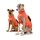 ZAUBERPFOTE® Hunderegenmantel London I Mit extra langem YKK® Reissverschluss für Halsband & Geschirr I Für kleine, mittlere & grosse Hunde I Wasserdicht & Maschinenwaschbar I Regenmantel für Hunde (45), Größe: 45, Farbe: Orange