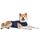 MPS Medical Pet Shirt, Hund, Blau, für extra grosse Hunde, Größe: XL, Farbe: Blau