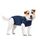 MPS Medical Pet Shirt, Hund, Blau, für XXX-kleine Hunde, Größe: XXXS, Farbe: Blau