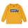 Levi's Baby-Jungen Lvb French Terry Batwing p 6e9078 Sweatshirt, Größe: 12 Monate, Farbe: Bernsteinfarben