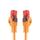 BIGtec LAN Kabel 2m Netzwerkkabel orange Gigabit Ethernet Kabel RJ45 Stecker Patchkabel für Patchpanel Netzwerk Switch Gaming PC kompatibel Playstation 5 PS5 XBOX Nintendo Switch 2 -Station 2 Meter, Größe: 2m, Stückzahl: 1, Farbe: Orange