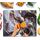 Kitchenville Glasschneidebrett 50×40 cm – Hygienisches Schneidebrett aus gehärtetem Glas – Hitzebeständig, Kratzfest & Rutschfest – Glasplatte für die Küche – Grau & Gold