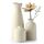 CEMABT Keramik Vasen 3er-Set Kleine Blumenvasen für Dekor, Moderne rustikale Bauernhaus Home Decor, Dekorative für Pampas Grass&getrocknete Blumen, Idee Regal,Tisch, Bücherregal,Mantel (Natur)