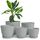 Utopia Home 5er-Pack Blumentopf 18/17/15/13/12 cm Übertopf mit Untertasse Für Küche, Balkon Blumentöpfe mit Untertasse Gartenpflanzen, Baumschule Blumentopf für Zimmerpflanzen Grau.
