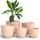 Utopia Home 5er-Pack Blumentopf 18/17/15/13/12 cm Übertopf mit Untertasse Für Küche, Balkon Blumentöpfe mit Untertasse Gartenpflanzen, Baumschule Blumentopf für Zimmerpflanzen Rosa.