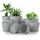 Utopia Home 10er-Pack Blumentopf 18/17/15/13/12 cm Übertopf mit Untertasse Für Küche, Balkon Blumentöpfe mit Untertasse Gartenpflanzen Sukkulenten, Baumschule Blumentopf für Zimmerpflanzen Grau.