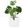 Fox&Fern Übertopf M - Blumentopf Gross inkl. Wasserspeicher - Blumentopf hoch 24cm - Übertöpfe für Zimmerpflanzen - 25cm Durchmesser - Pflanzentöpfe groß - Plant Pot - weiß