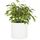Fox&Fern Übertopf M - Blumentopf Gross inkl. Wasserabfluss - hoch 24cm - Übertöpfe für Zimmerpflanzen - 25cm Durchmesser - Pflanzentöpfe groß - Plant Pot - weiß matt