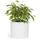 Fox&Fern Übertopf L - Blumentopf Gross inkl. Wasserabfluss - Blumentopf hoch 27cm - Übertöpfe für Zimmerpflanzen - 30cm Durchmesser - Pflanzentöpfe groß - Plant Pot - weiß