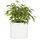 Fox & Fern Übertopf L - Blumentopf Gross inkl. Wasserabfluss - Blumentopf hoch 27cm - Übertöpfe für Zimmerpflanzen - 30cm Durchmesser - Pflanzentöpfe groß - Plant Pot - weiß matt