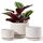 LE TAUCI 3er Pack Keramik Blumentöpfe, 11+13+17 cm Durchmesser Klein Übertöpfe Set, Blumentopf für Zimmerpflanzen mit Untersetzer und Abflussloch, Reaktive Glasur Beige