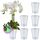 Santino 6er-Set Orchideentopf transparent mit selbstbewässerndem Dochtsystem - D 15 cm - Transparent - 2 L