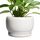 SQOWL Keramik-Pflanzgefäße für Zimmerpflanzen, 20,3 cm, runder Blumentopf für den Außenbereich, mit Ablaufloch und Untersetzer, dekorativer moderner Übertopf, Küchendekoration, Hausgeschenke, Weiß