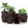 Utopia Home 10er-Pack Blumentopf 18/17/15/13/12 cm Übertopf mit Untertasse Für Küche, Balkon Blumentöpfe mit Untertasse Gartenpflanzen Sukkulenten, Baumschule Blumentopf für Zimmerpflanzen Braun.