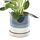 CHIVE "Minute" Keramik Sukkulenten Pflanzgef��e � 12,7 cm Indoor Kaktus & Blumenbeh�lter T�pfe mit Drainage & abnehmbarer Untertasse � Gr�n Blau