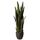 Nearly Natural, Green 4855 Sansevieria Pflanzgefäß, 88,9 cm, Schwarz