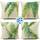 HUASHUZI Outdoor Kissen Wetterfest Kissenbezug Balkon Kissen deko Tropische Grüne Sommer palmenblätter 4er Set 45x45cm gartenmöbel Kissenbezüge Kissenhülle