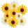 SUNBEAUTY 9 Stück Sonnenblumen Papierfächer Party Dekoration Gelb Seidenpapier Fächer Beige Hängende Girlande für Geburtstag Hochzeit Tischdeko Abschluss Party Deko