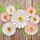 SUNBEAUTY 7 Stück 3D Weiß-Rosa Gänseblümchen Wanddeko,Papier Blumen Deko Künstliche Blumen für Muttertag Wohnzimmer Wanddekoration Schlafzimmer Innen Frühling Deko,Kinderzimmer Deko