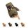 HYCOPROT Halbfinger Handschuhe Outdoor Motorrad Leichte Atmungsaktive Sporthandschuhe für Fahrrad Wandern Felsklettern