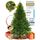 ArtiTree Künstlicher Weihnachtsbaum 180 cm – 100 % Spritzguss Nordfichte | Premium Tannenbaum naturgetreu inkl. FSC-Holzständer & Aufbewahrungstasche