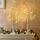 EAMBRITE 2er Set Lichterbaum Lichterzweige für Innen 24 Warmweiß LEDs Bäumchen Birken Dekozweige Batteriebetrieb Weihnachtsdeko für Zuhause Party Geburtstag Hochzeit Innendekoration (60cm/2ft)