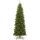 National Tree North Valley Fichte, schmaler Baum, 2,1 m, 2,1 m