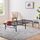 Linenspa Metallbett mit Lattenrost Klappbett 33 cm Stauraum unter Bettgestell Montage in 5 Minuten US Twin XL