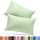 Utopia Bedding Queen-Kissenbezüge – 2er-Pack – Hotelverschluss – weicher, gebürsteter Mikrofaserstoff – schrumpf- und farbecht, Kissenbezüge 20 X 30 Inches (Queen, Salbeigrün)