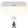 Toowell 10000mAh Akku Lampe mit Bewegungsmelder Innen Batteriebetriebene Deckenleuchte LED Deckenlampe Akku Licht mit Bewegungsmelder Batterie Leuchte für Garage Keller Badzimmer, Warmweißes Licht