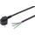 Meister Schutzkontakt-Zuleitung - 5 Meter - schwarz - Kunststoffleitung H05VV-F3G1,5 - 3 Adern - IP20 / Anschlussleitung mit Schuko-Stecker / Anschlusskabel / Installationsmaterial / 7434550