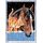 Ravensburger CreArt 28556 - Fohlen mit Kätzchen - Malen nach Zahlen für Kinder ab 7 Jahre, Malset mit Rahmen, Pinsel und Acrylfarben, Geschenk für Mädchen und Jungen, mit Glitzer