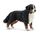 SCHLEICH Farm World | Berner Sennenhündin 16397 Bauernhof Spielfigur | detailgetreue Tierfiguren | tolles Geschenk für Jungen und Mädchen | Bauernhof Spielzeug ab 3 Jahre | 3 x 8 x 5 cm
